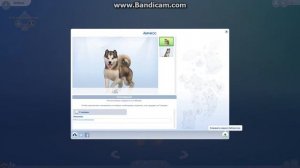 Как заселить питомца к себе в семью из ГАЛЕРЕИ!!! SIMS 4