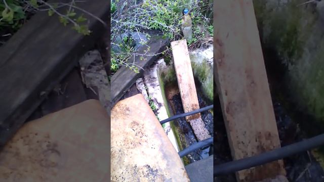 Нежданные гости. Часть 2