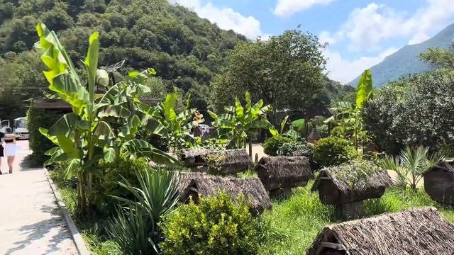 Абхазия 2023. Кратко, ёмко. Гранд–тур Абхазия. Стоит ли ехать? Какие цены смотреть онлайн