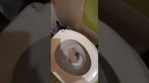 Лайфхаки в уборной. Как сходить в туалет без брызг. Как культурно посетить общественный туалет.