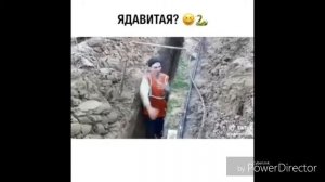 Ядовитая газовая труба???