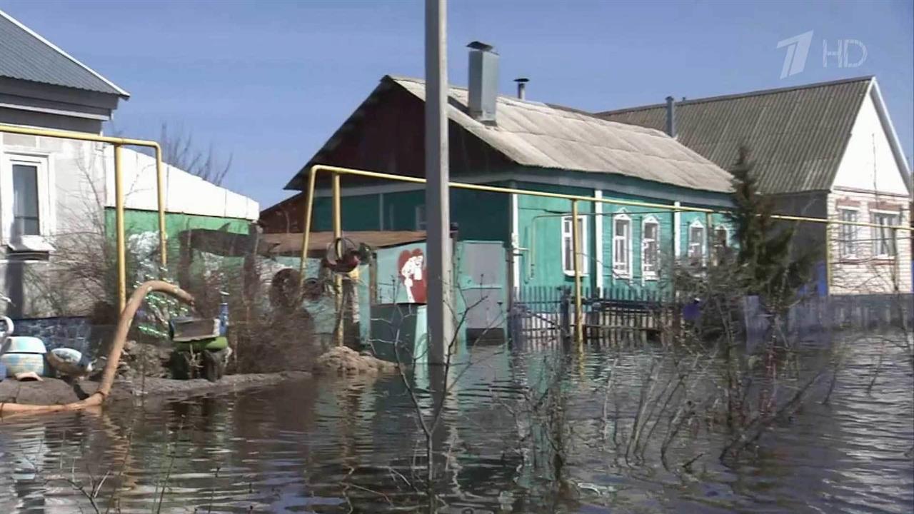 О ситуации в Волгоградской области Владимиру Путину докладывал губернатор Андрей Бочаров