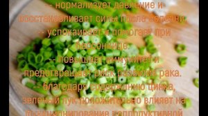 Чем полезен зеленый лук? Целебные свойства зеленого лука.