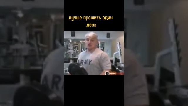 А ты как думаешь? #качалка #спорт #философия смотреть онлайн