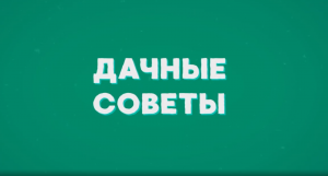 Небольшая разминка перед работой на даче