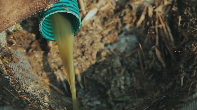 Как в джунглях добывают тростниковый сахар смотреть онлайн