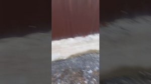 бетонная лента под забор. ведите контроль над соблюдением строительных технологий и норм!