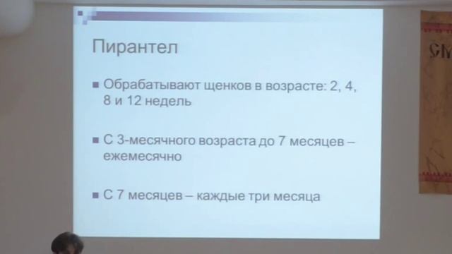 Токсокароз у собак (вебинар)