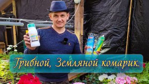 Как побороть грибной комарик, земляной комарик, мушка. Актара.