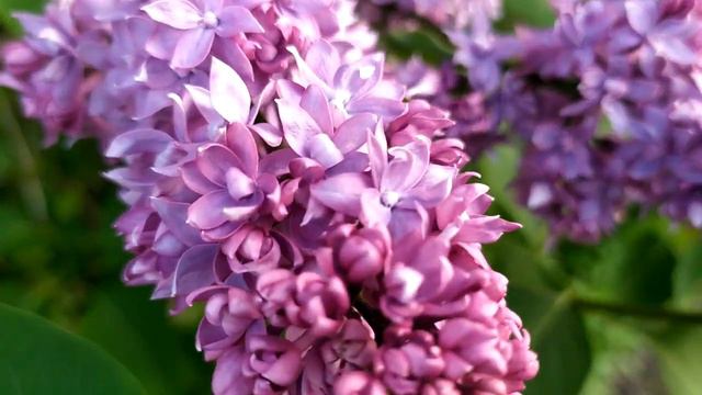 Придуманное счастье 1 - 4 серии (сериал 2021) смотреть онлайн