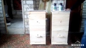 Пчеловодство Заводим пчел на даче