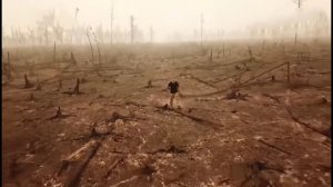 В. Штыров. Диалог с молодежью. О глобальном потеплении.