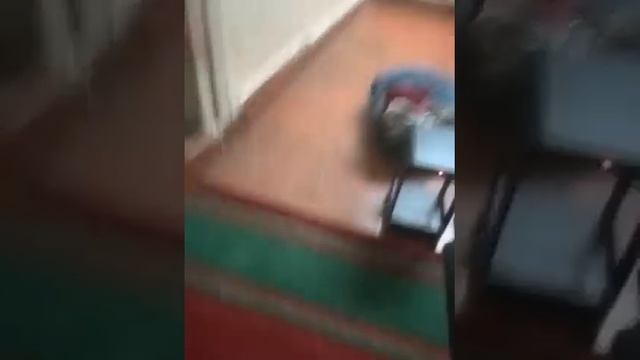 АБ на тайпан2м 3дж смотреть онлайн