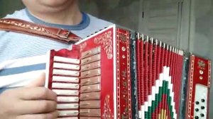 Прекрасные мастеровые тальянки от Айрата Харисова.