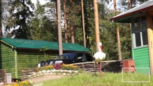 Рощино. Райвола