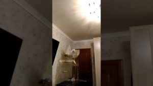 Большой Желтохохлый Какаду