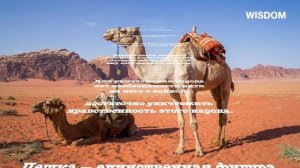 Так Жаль, Что я не Знал Этого Раньше! Мудрые Восточные Пословицы и Поговорки, Меняющие Жизнь