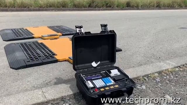 Переносные автомобильные весы RW PLZ