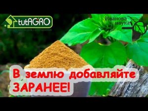 НАТУРАЛЬНОЕ УДОБРЕНИЕ ИЗ СКОТОБОЙНИ - МЯСОКОСНАЯ МУКА. Как выбирать, покупать и использовать.