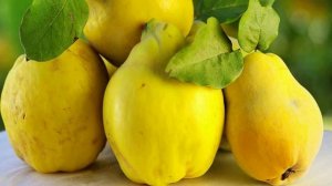 НАТУРАЛЬНЫЕ продукты от запора БЕЗ СЛАБИТЕЛЬНОГО убрать запор и очистить кишечник.