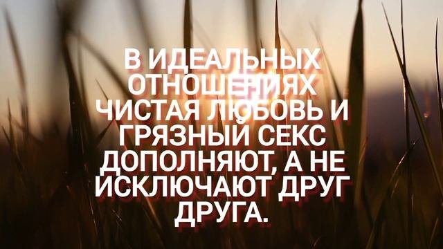 Самые Лучшие Цитаты Про Любовь