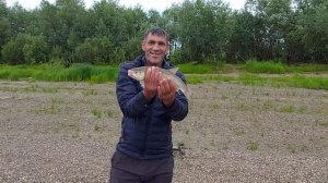 Рыбалка в Р.Ф.Река Иртыш!!! Ловля на донки.Язь,окунь,плотва!!!