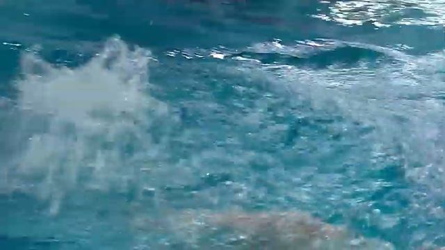 50-метровый бассейн доделают смотреть онлайн