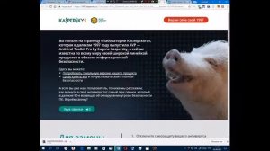 Как Касперский звук свиньи придумал