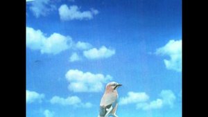 Друзья познаются в беде
Шотландская сказка