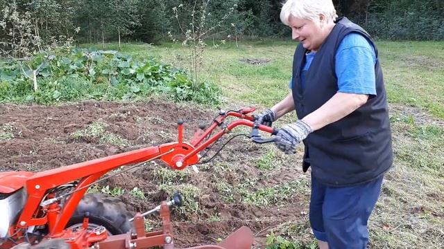 Легендарный МОТОБЛОК МТЗ Беларус |  ПАШЕМ на пару с ТЕЩЕЙ смотреть онлайн