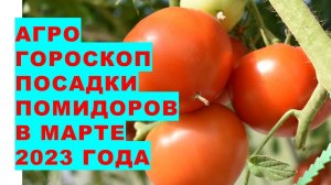 Агрогороскоп посева семян помидоров в марте 2023 года. Агрогороскоп посіву насіння томатів в березні