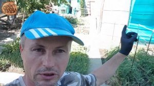 КРЫТЫЙ БАССЕЙН своими руками //БАССЕЙН на даче//Бассейн из тента