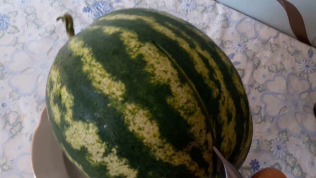 Буду засевать огород осенью, а не весной смотреть онлайн