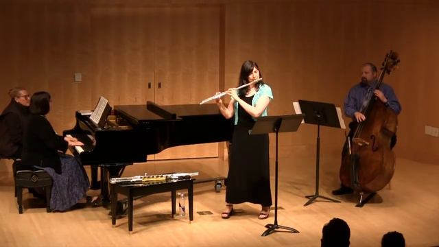 Javanaise - from Claude Bolling's Suite for Flute and Jazz Piano Trio смотреть онлайн