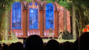 Па-де-де чёрного лебедя