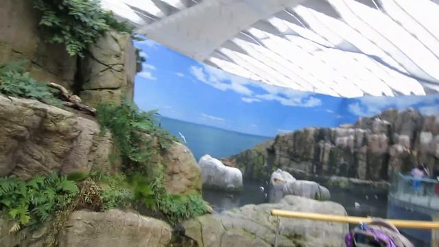 CATS & COFFEE | Daily Vlog смотреть онлайн