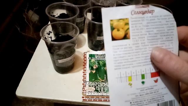 Помидоры черри на подоконнике,на окне (балконе).Лучшие горшечные сорта для дома