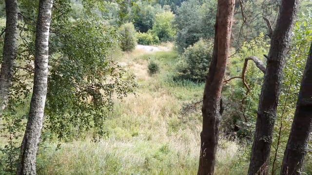 лагерь Спутник август 2020 (9) смотреть онлайн