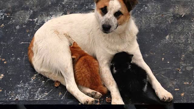 Самые хорошие русские песни для отпуска онлайн смотреть онлайн