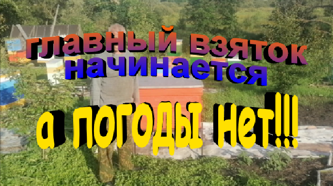 Главный взяток начинается а погоды нет. Что делать в такой ситуации смотреть онлайн