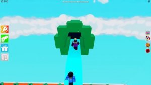 RARE ROBLOX W