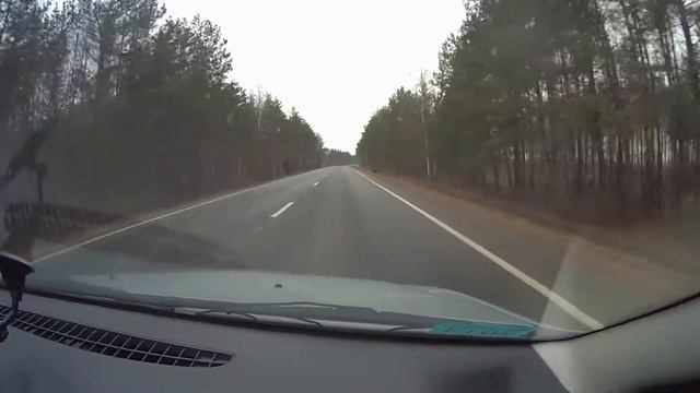 15.01.2015 Пружанский район,выбежал кабан на дорогу смотреть онлайн