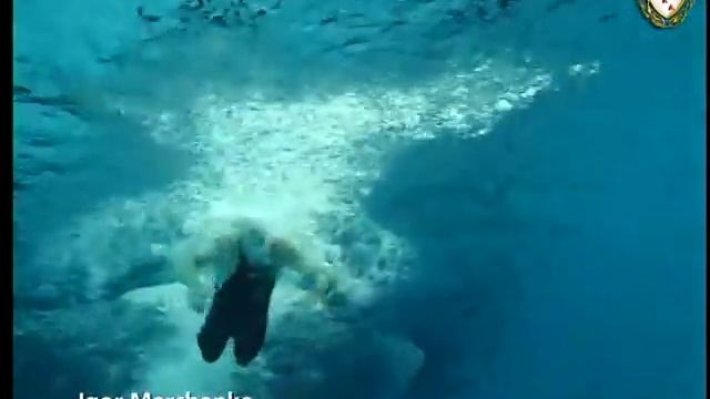 Баттерфляй. Плавание дельфином.Техника плавания.