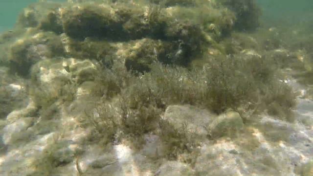 Морское дно смотреть онлайн