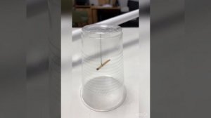 Статическое электричество опыты дома