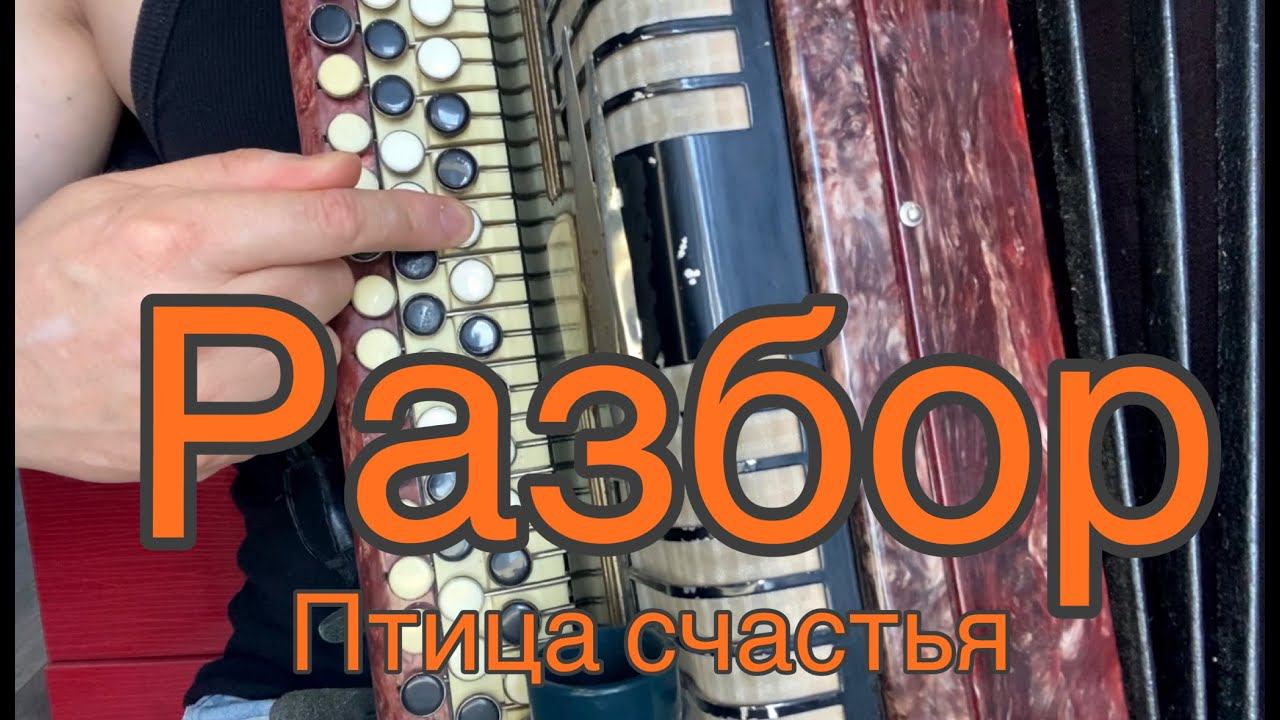 РАЗБОР НА БАЯНЕ! Птица счастья! (russian music)