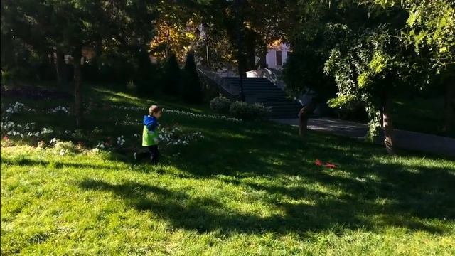 Самолет из пенопласта Видео для детей Planes for kids смотреть онлайн