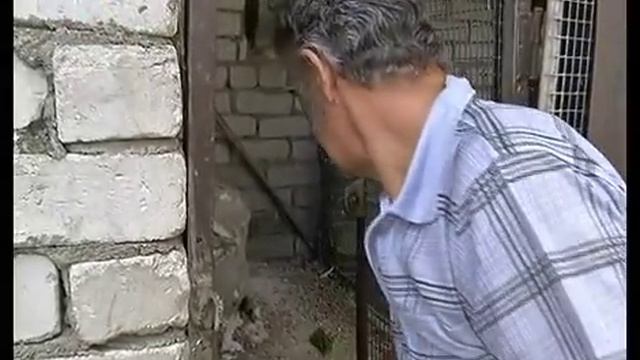 Птичье царство липецкого пенсионера смотреть онлайн