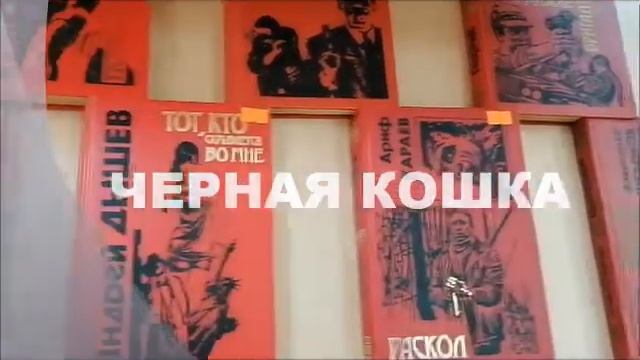 Черная кошка