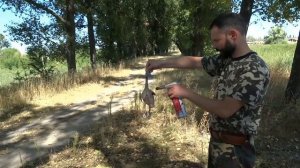 Охота на дикого голубя вяхиря